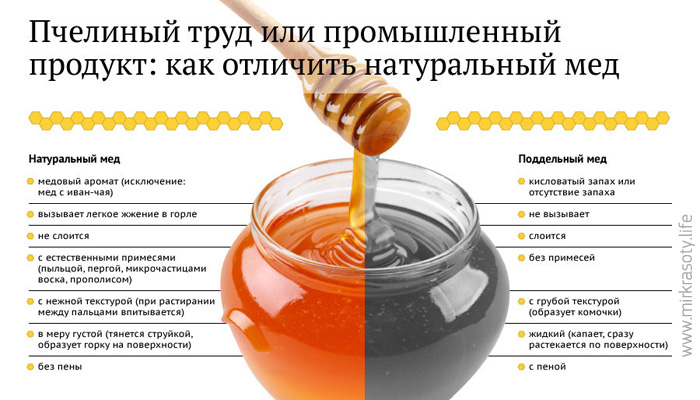 Как отличить настоящий мёд от подделки? 11 способов проверки