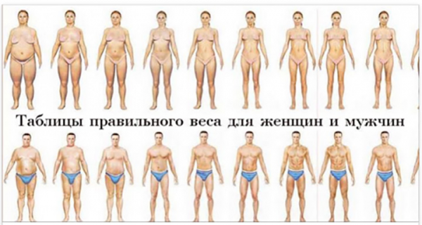 Таблицы правильного веса для женщин и мужчин