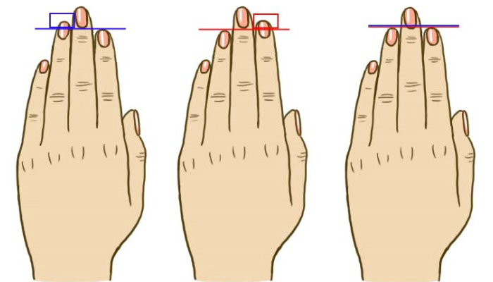Как узнать характер по длине пальцев?