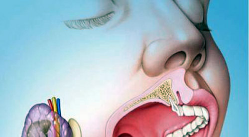Как состояние зубов оказывают влияние на все тело