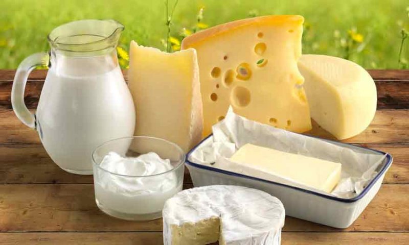 Фальсификация молочных продуктов: о чем стоит знать
