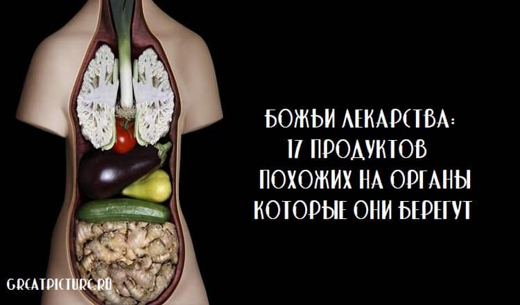 Божьи лекарства: 17 продуктов, похожих на органы, которые они берегут