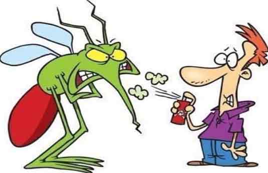 Эффективные методы борьбы с комарами