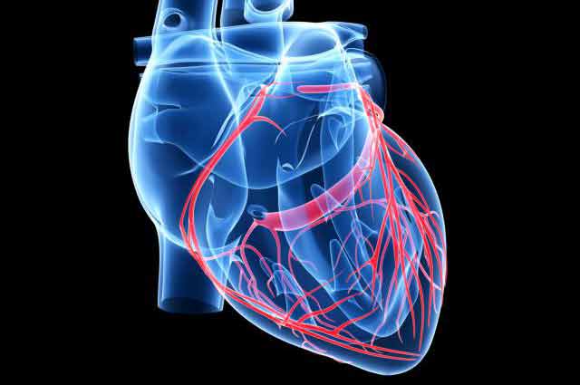Больное сердце: 8 скрытых признаков